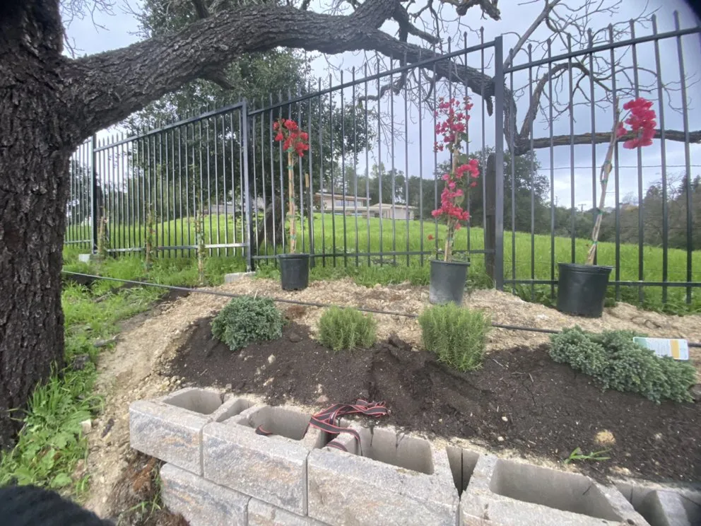 Trusted yard maintenance in Alameda, CA - Jacinto's Landscaping