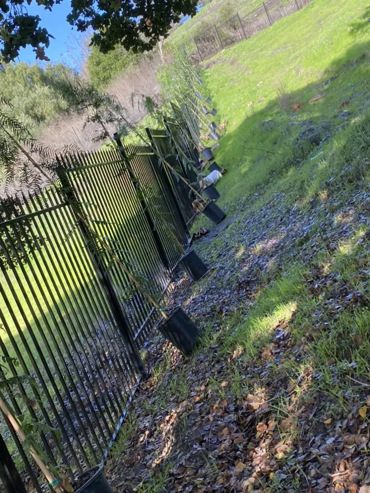 Professional lawn mowing service with custom design across Alameda, CA - Jacinto's Landscaping