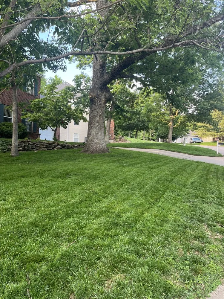 Top-rated landscaping services for year-round maintenance in Columbia, MO by Jack Brennaman Mowing
