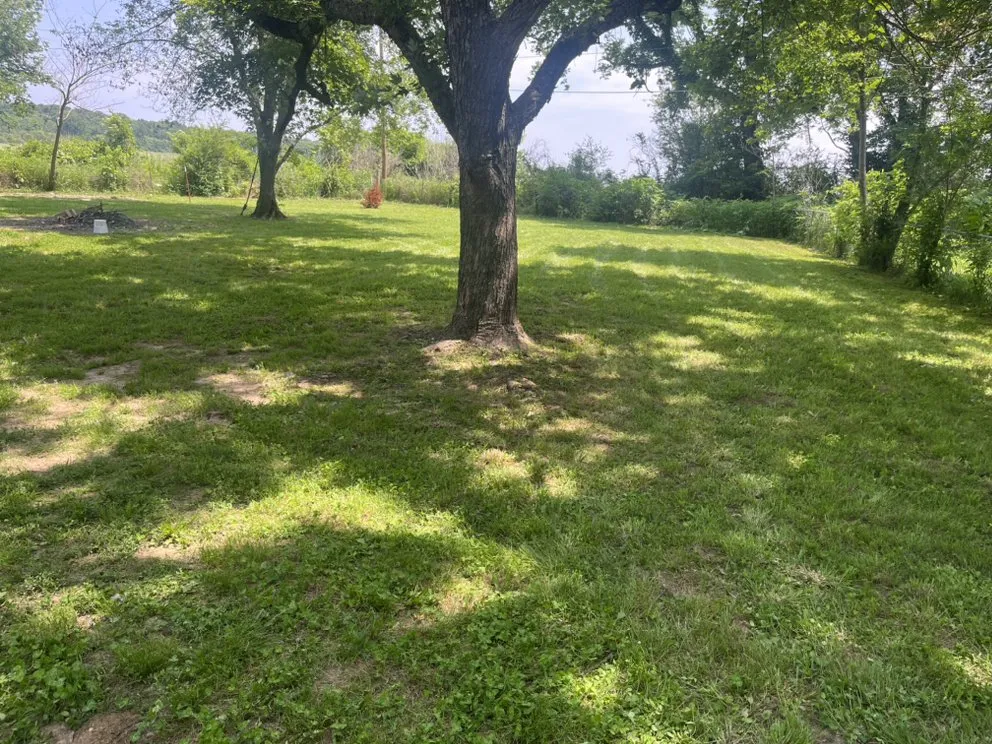 Top-rated lawn care service for homes in Welling, OK by Jack B's Lawn Care