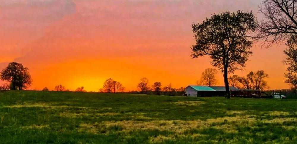 Top-rated outdoor landscaping in Welling, OK by Jack B's Lawn Care