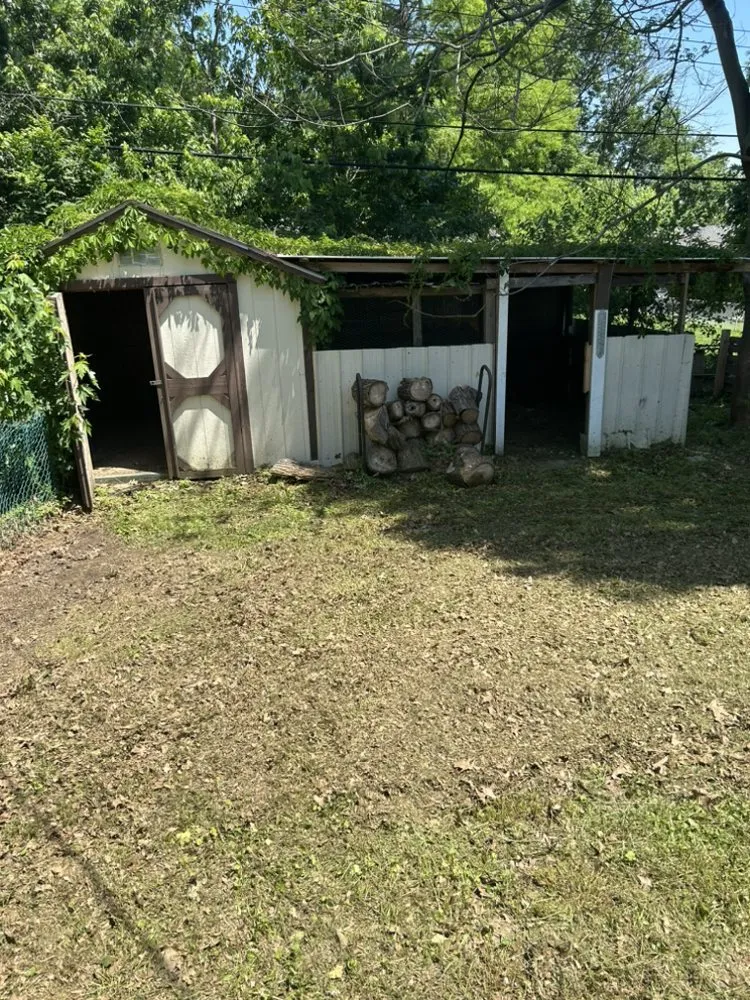 Professional lawn care service for year-round maintenance across Kansas City, KS - Jack Burt