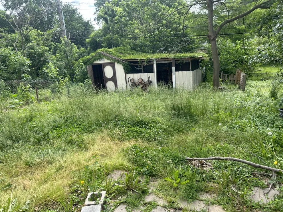 Top-rated residential landscaping in Kansas City, KS by Jack Burt