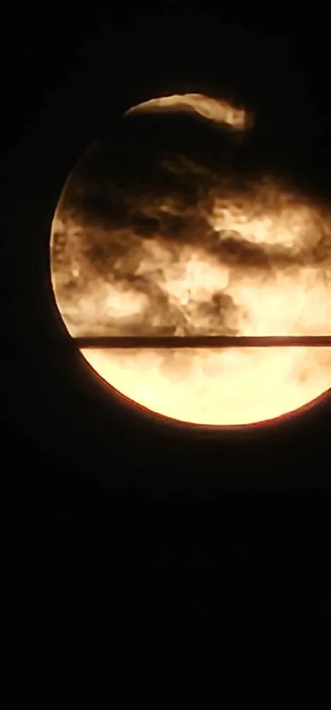 Professional lawn care service in Russellville, AR by Jack Césped