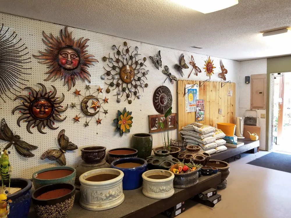 Top-rated landscaping services experts serving Virginia Beach, VA - Jack Frost