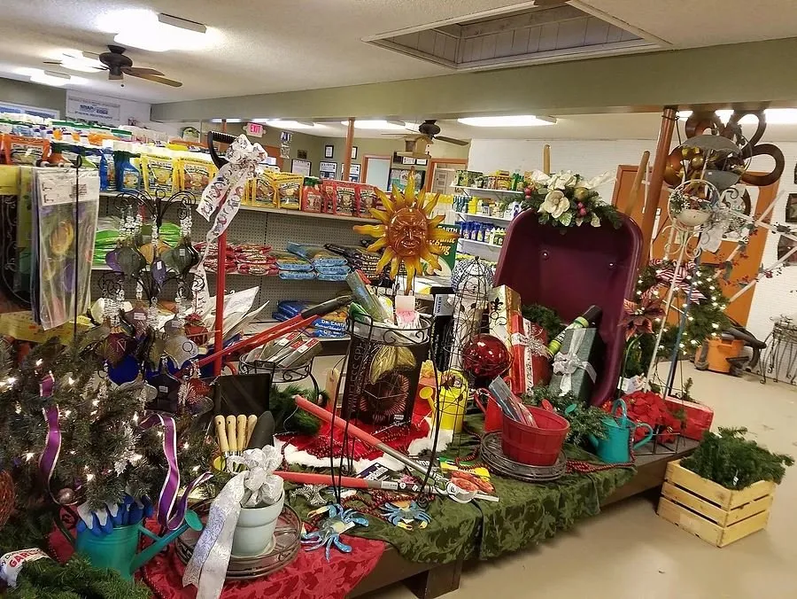 Reliable yard maintenance experts serving Virginia Beach, VA - Jack Frost