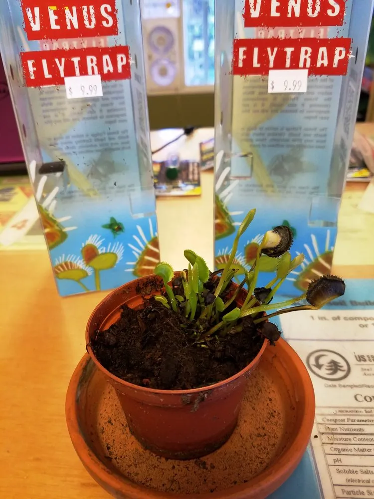 Reliable outdoor landscaping in Virginia Beach, VA - Jack Frost