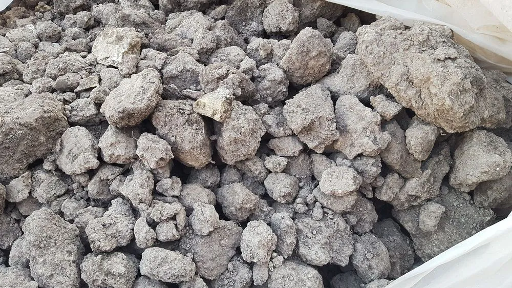 Affordable yard maintenance in Virginia Beach, VA by Jack Frost