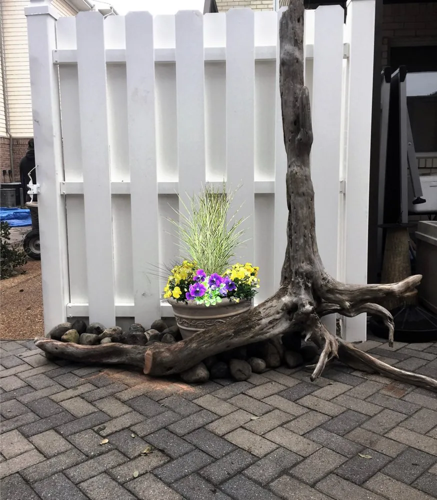 Trusted lawn care service near you in Virginia Beach, VA by Jack Frost