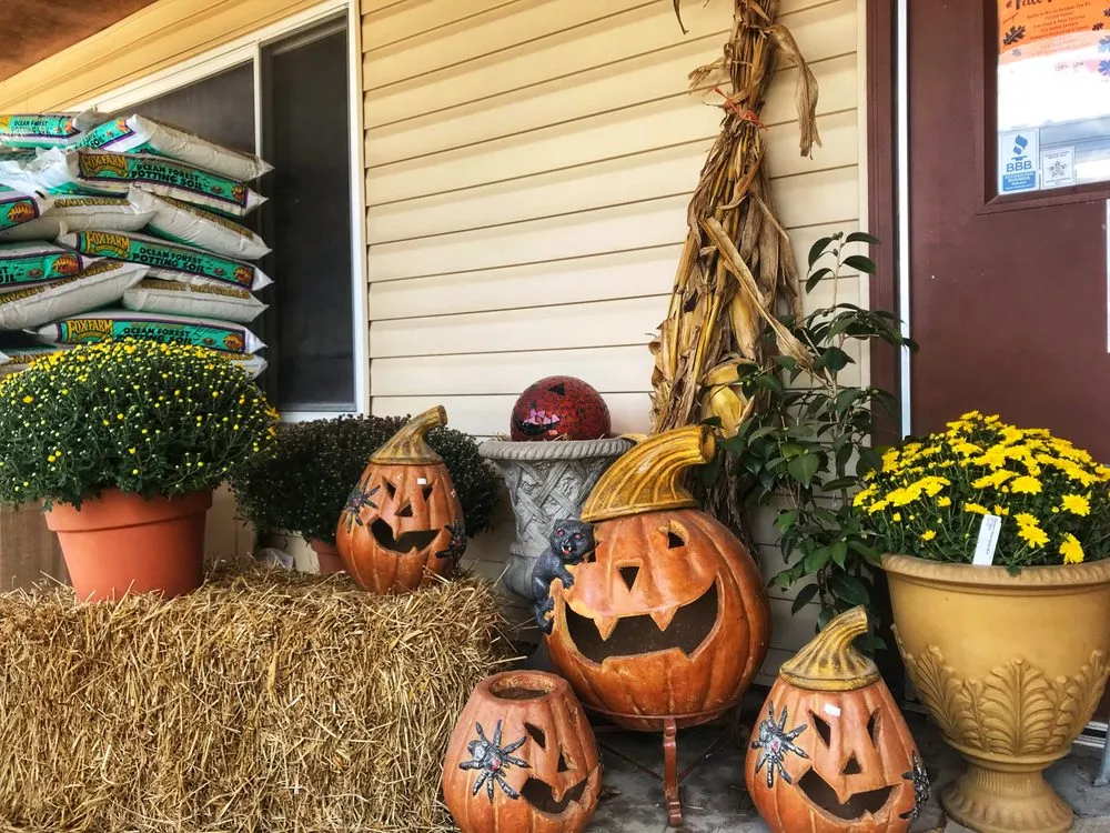 Trusted lawn care service experts serving Virginia Beach, VA - Jack Frost