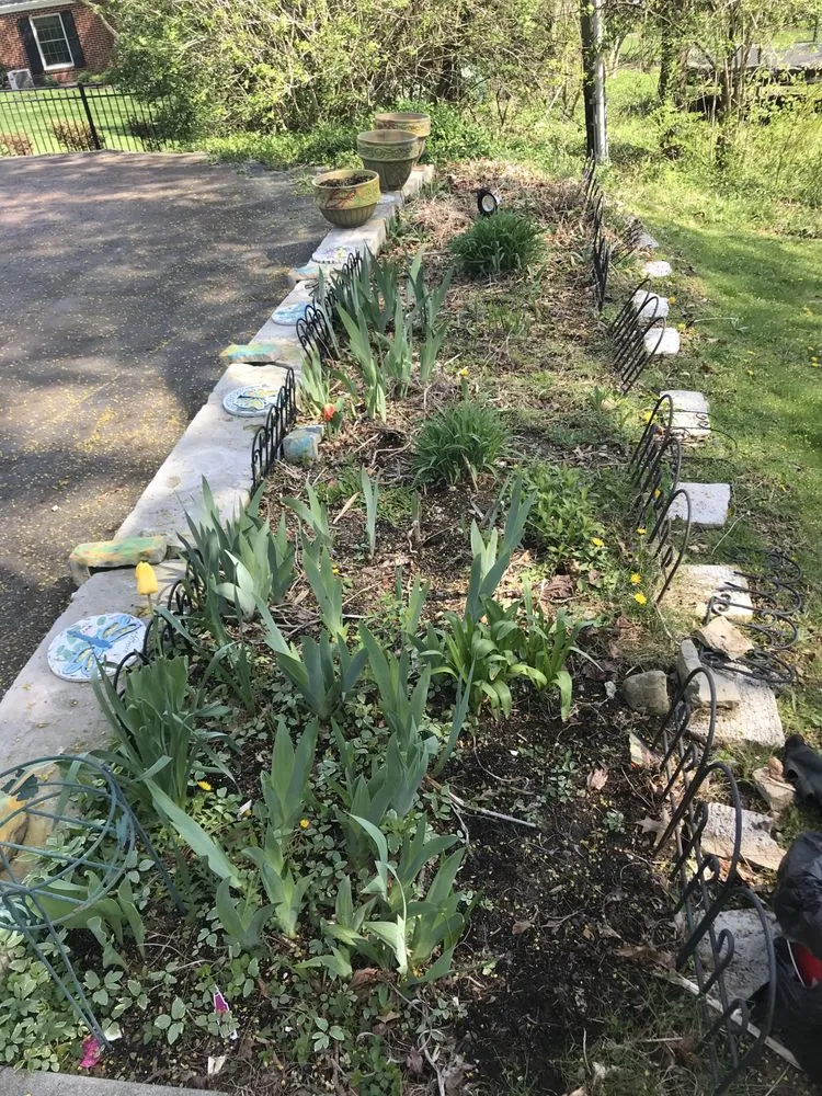 Professional outdoor landscaping with custom design across Waynesburg, OH - Jack-Grass Lawn Care Services