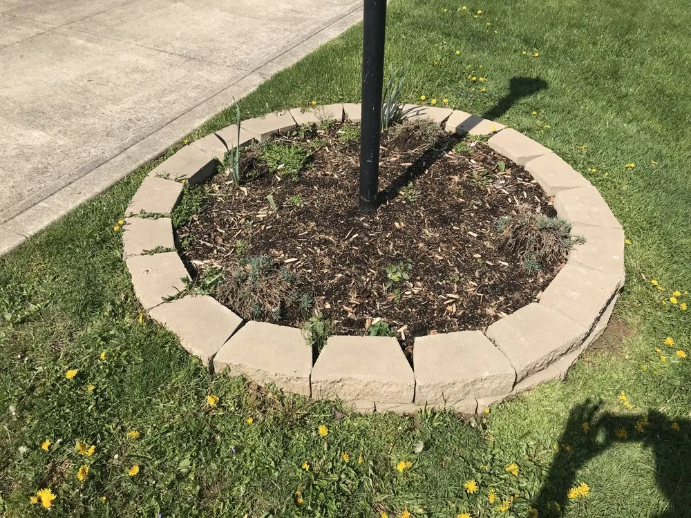 Local lawn care service experts serving Waynesburg, OH - Jack-Grass Lawn Care Services