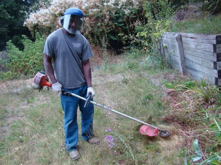 Top-rated outdoor landscaping in Olympia, WA by Jack Jack of Trades