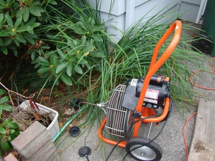 Reliable yard maintenance in Olympia, WA - Jack Jack of Trades