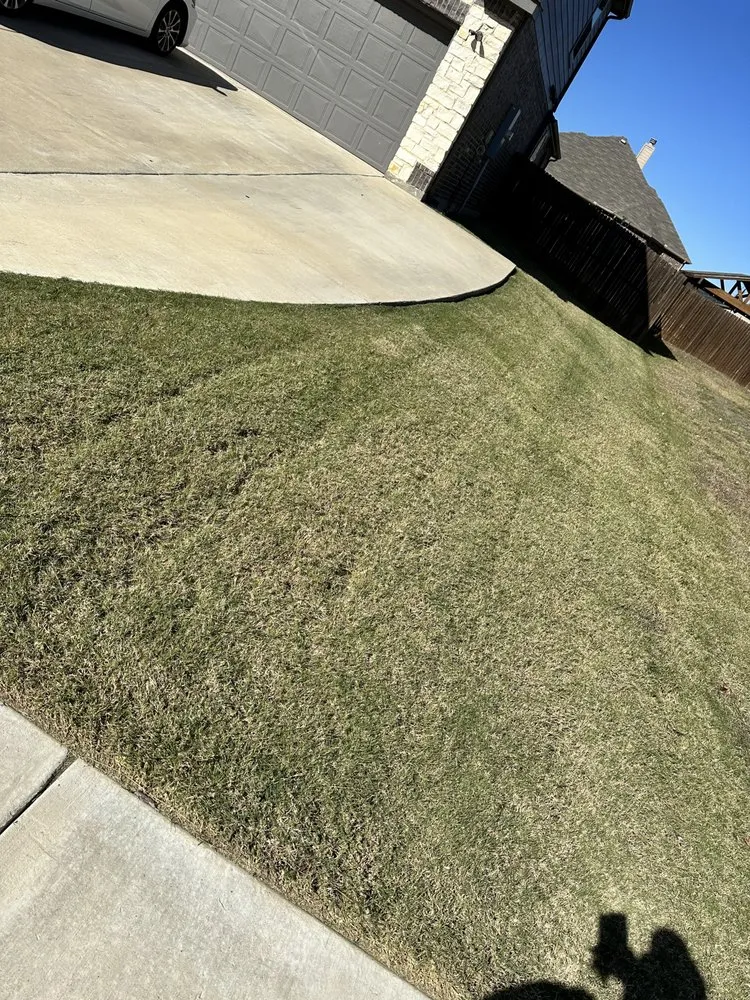 Custom yard maintenance in Cedar Hill, TX - Jack Mow Zone