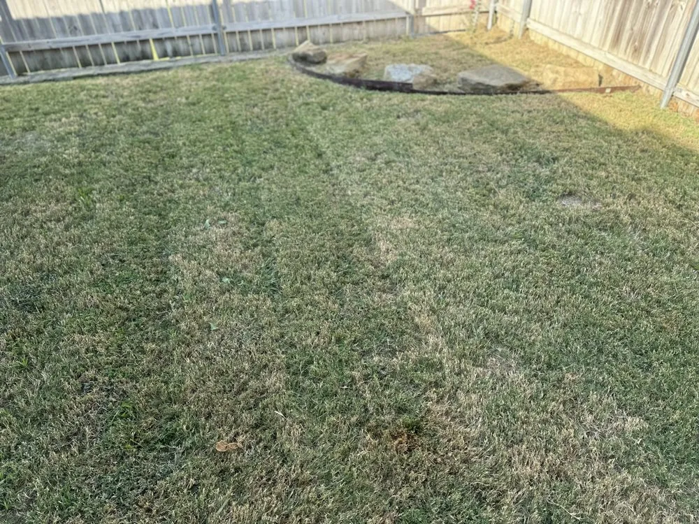 Professional residential landscaping for homes across Cedar Hill, TX - Jack Mow Zone