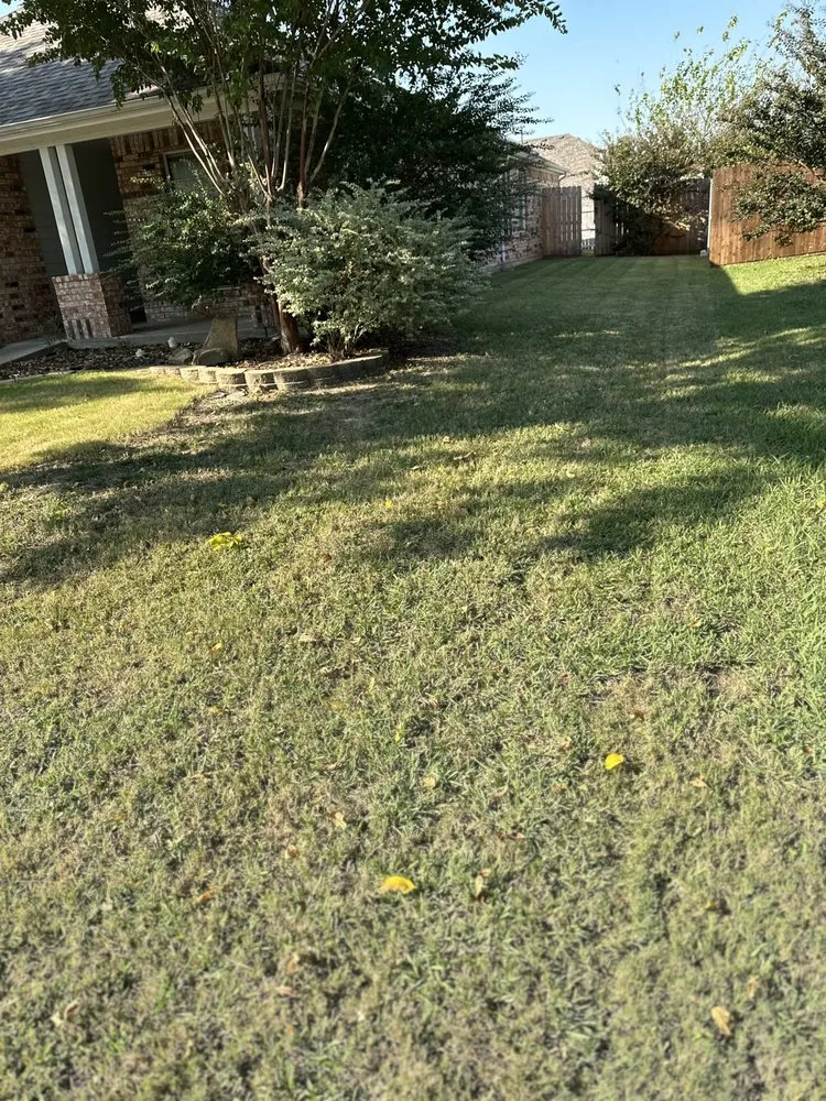 Top-rated lawn care service in Cedar Hill, TX by Jack Mow Zone