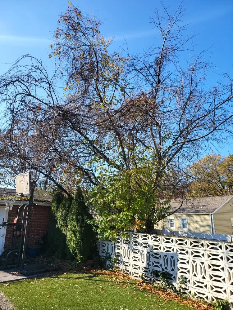 Top-rated lawn mowing service in Piscataway, NJ by Jack 'N All Trades