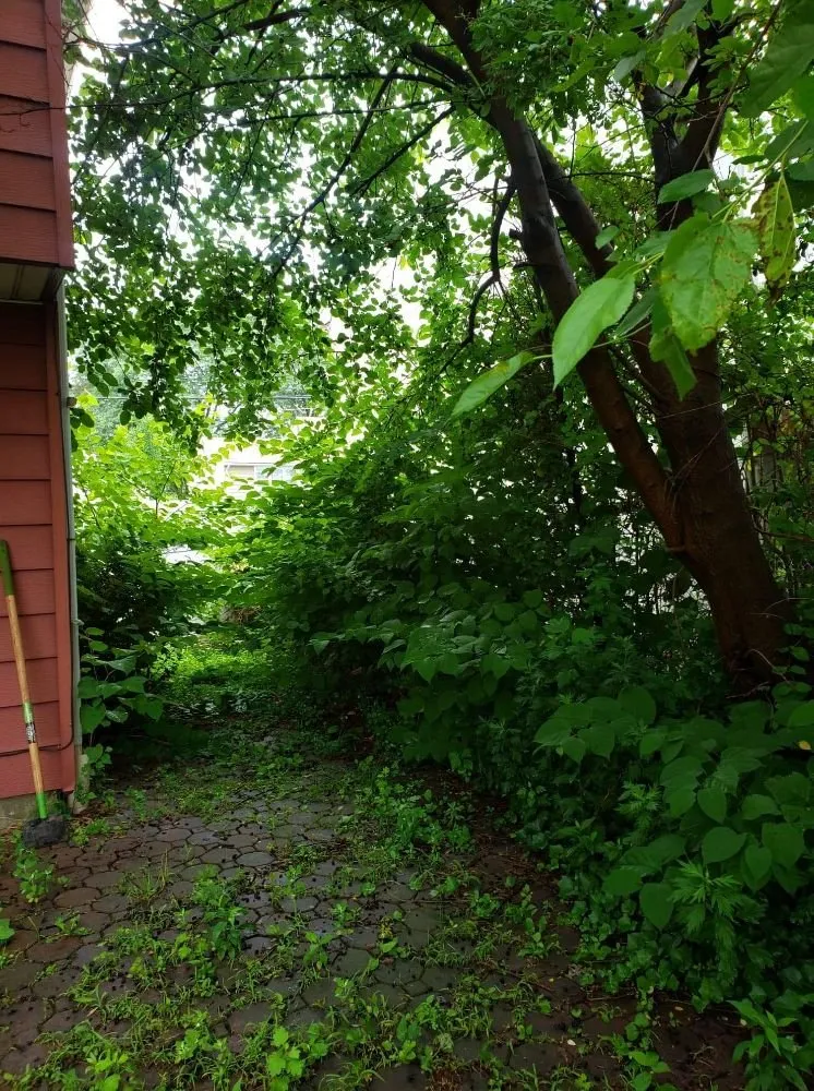 Reliable landscape design in Piscataway, NJ - Jack 'N All Trades