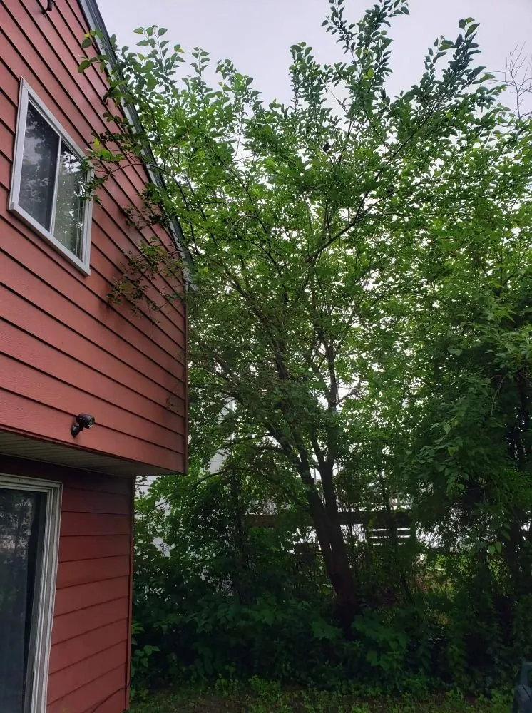 Expert landscape design with custom design across Piscataway, NJ - Jack 'N All Trades