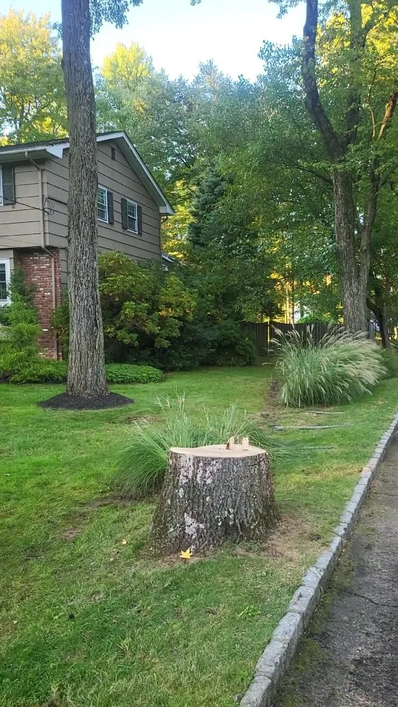 Trusted residential landscaping in Piscataway, NJ - Jack 'N All Trades