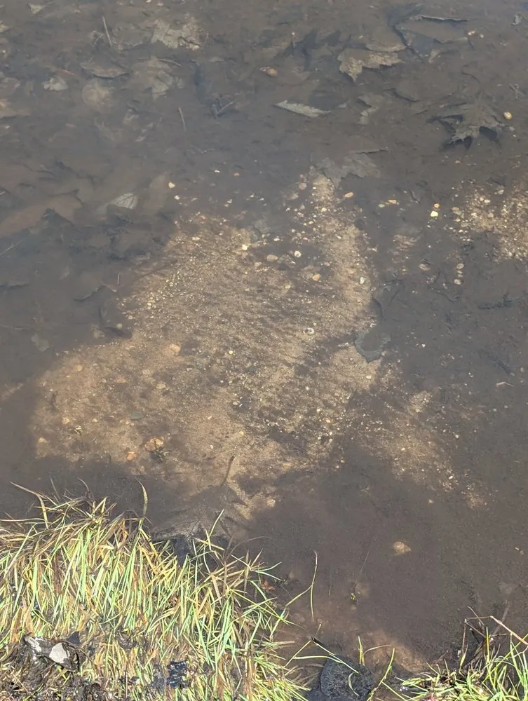 Local lawn mowing service experts serving Gladwin, MI - Jack O' All Trades