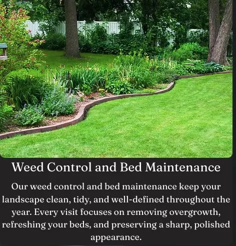 Top-rated yard maintenance in Nashville, TN - Jack of All Greens