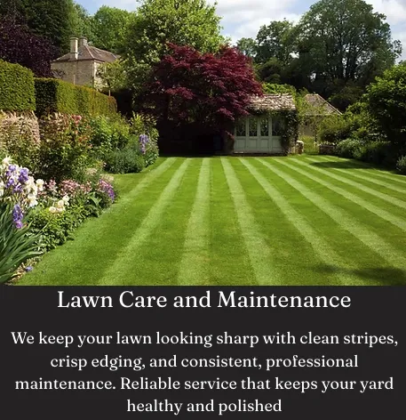 Reliable landscaping services experts serving Nashville, TN - Jack of All Greens