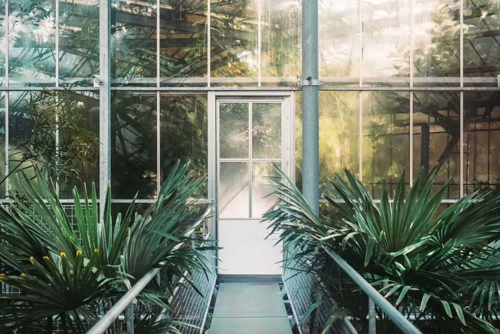 Expert yard cleanup service experts serving Nashville, TN - Jack of All Greens