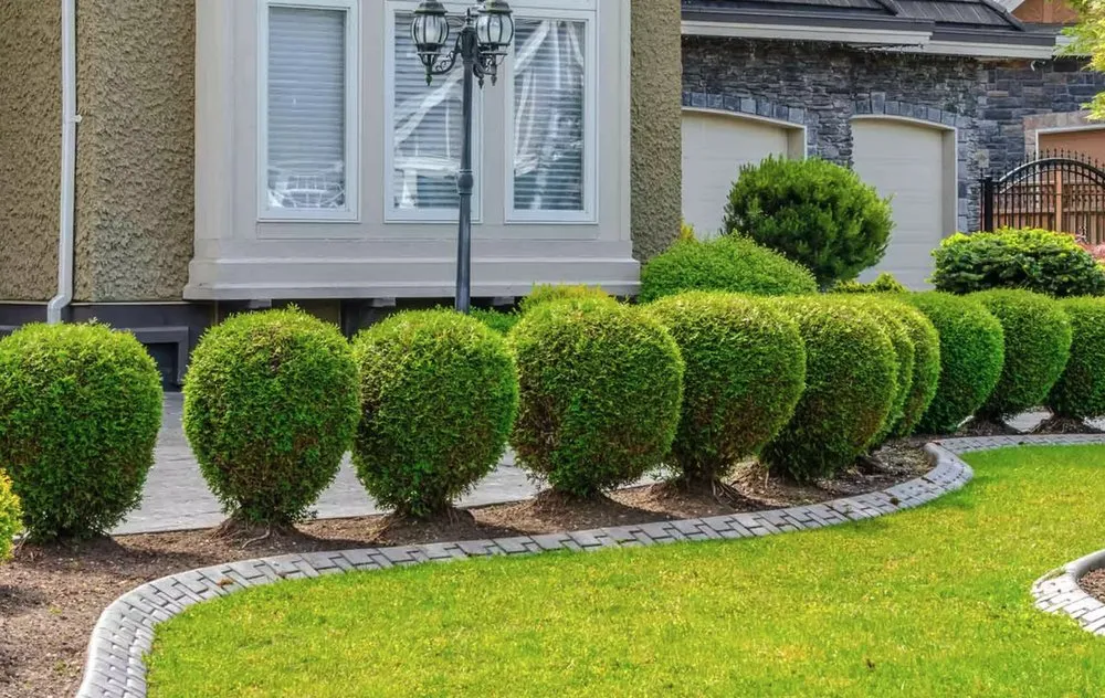 Custom lawn care service in Nashville, TN - Jack of All Greens