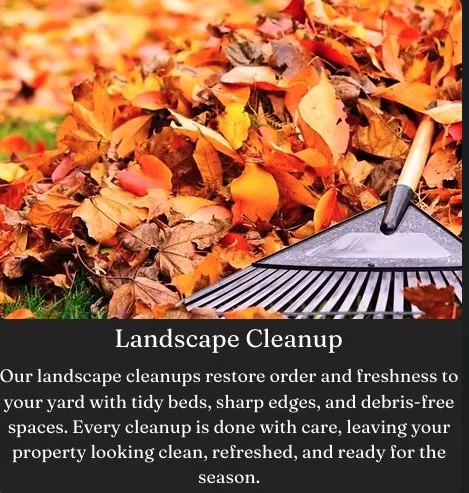 Top-rated outdoor landscaping experts serving Nashville, TN - Jack of All Greens