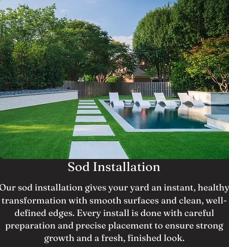 Affordable lawn care service in Nashville, TN - Jack of All Greens