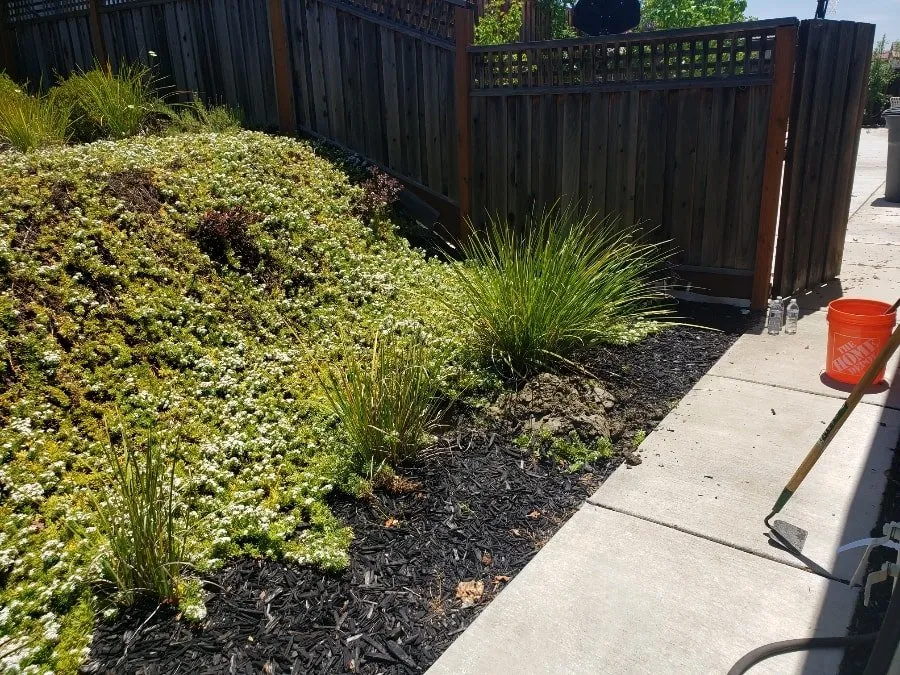 Local landscape installation experts serving Antioch, CA - Jack of All Trades