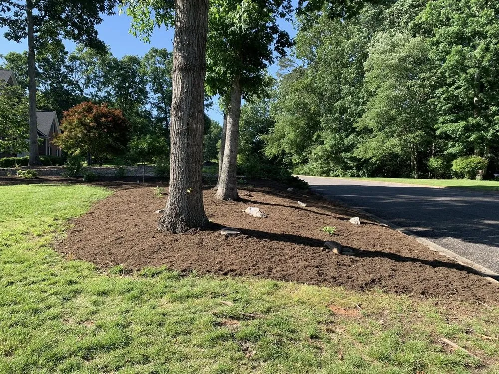 Expert yard maintenance for year-round maintenance across Thurmond, NC - Jack Of All Trades