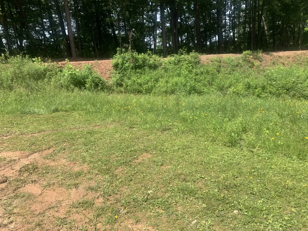 Reliable yard cleanup service in Thurmond, NC - Jack Of All Trades