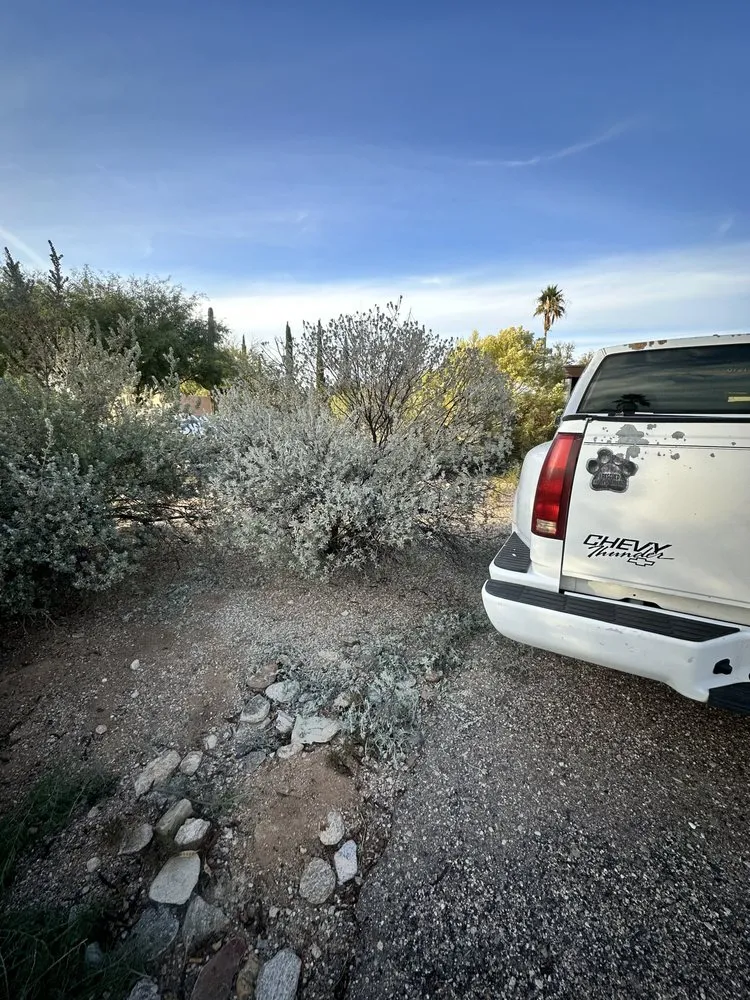 Reliable landscape design for homes in Tucson, AZ by Jack Of All Trades