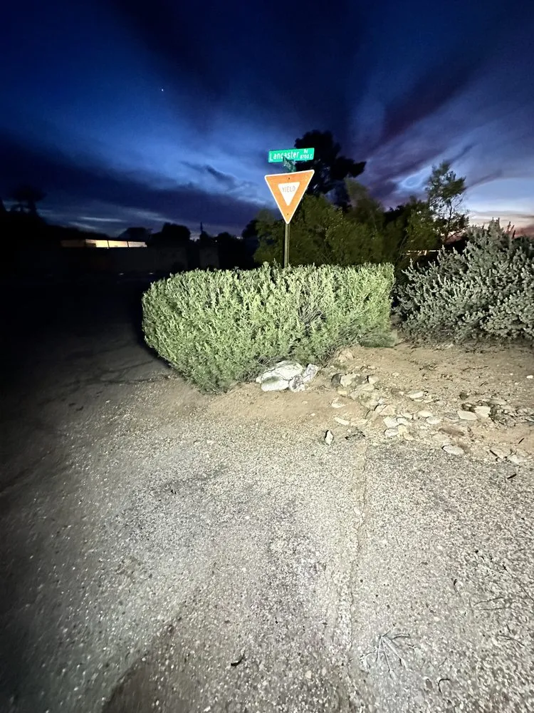 Expert lawn mowing service in Tucson, AZ by Jack Of All Trades