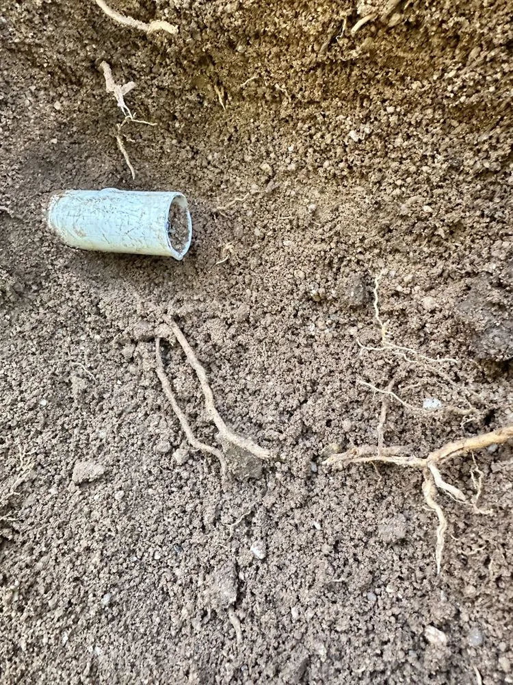 Custom landscaping services experts serving Tucson, AZ - Jack Of All Trades