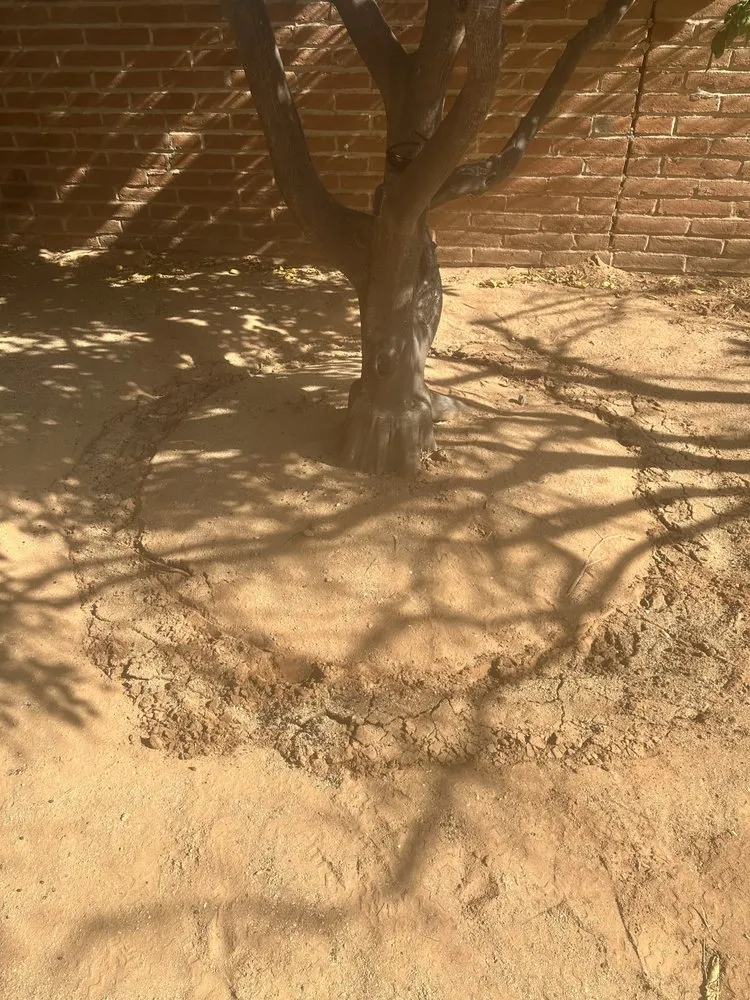 Expert residential landscaping in Tucson, AZ - Jack Of All Trades