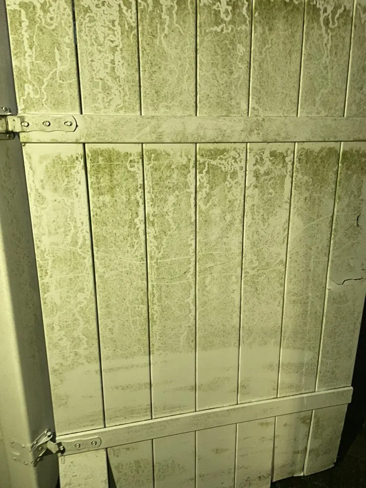 Reliable lawn mowing service experts serving Norfolk, VA - Jack of all tradez