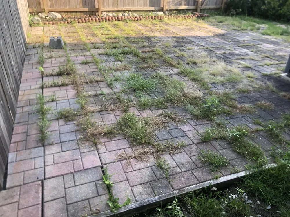 Reliable yard maintenance with custom design in Portsmouth, VA by Jack Of All Tradez