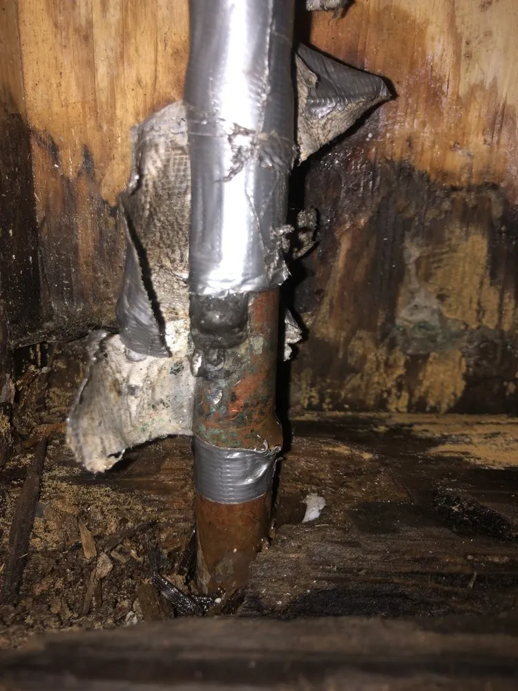 Trusted landscape design in Portsmouth, VA - Jack Of All Tradez