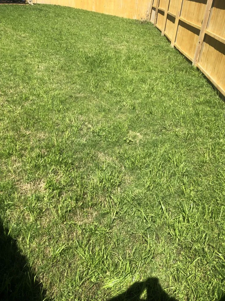 Reliable landscape installation in Portsmouth, VA by Jack Of All Tradez