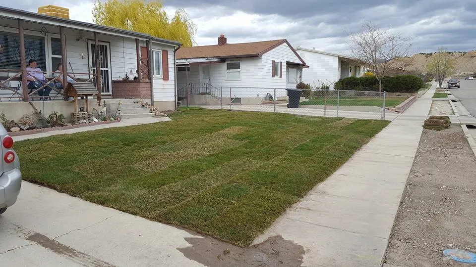 Top-rated yard cleanup service in Helper, UT by Jack Of All Traits