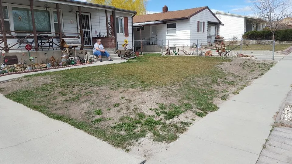 Top-rated landscape installation in Helper, UT by Jack Of All Traits