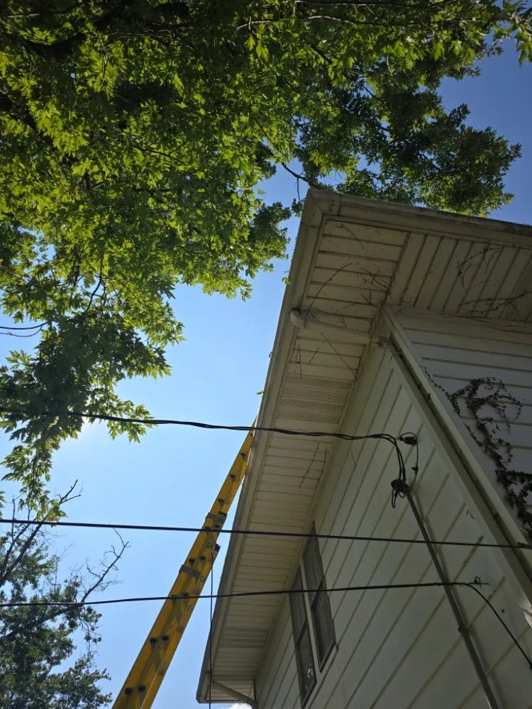 Reliable lawn care service in South Bend, IN by Jack of Trades