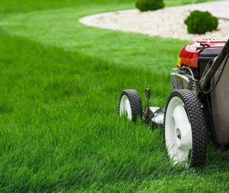 Expert outdoor landscaping for homes in Theodore, AL by Jack Rabbit Hare Lawn Care