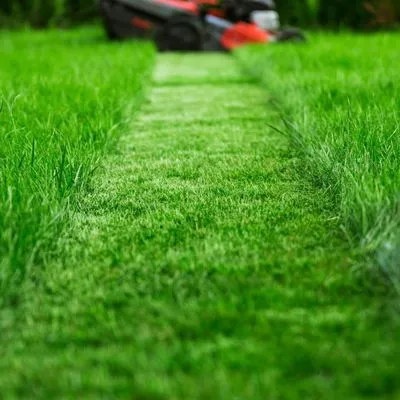Jack Rabbit Hare Lawn Care Logo