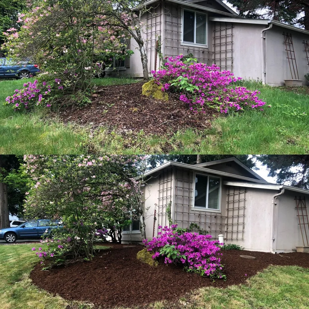 Professional lawn mowing service in Monroe, WA - Jackalyn Landscaping