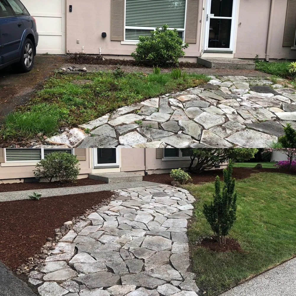 Trusted lawn care service in Monroe, WA - Jackalyn Landscaping